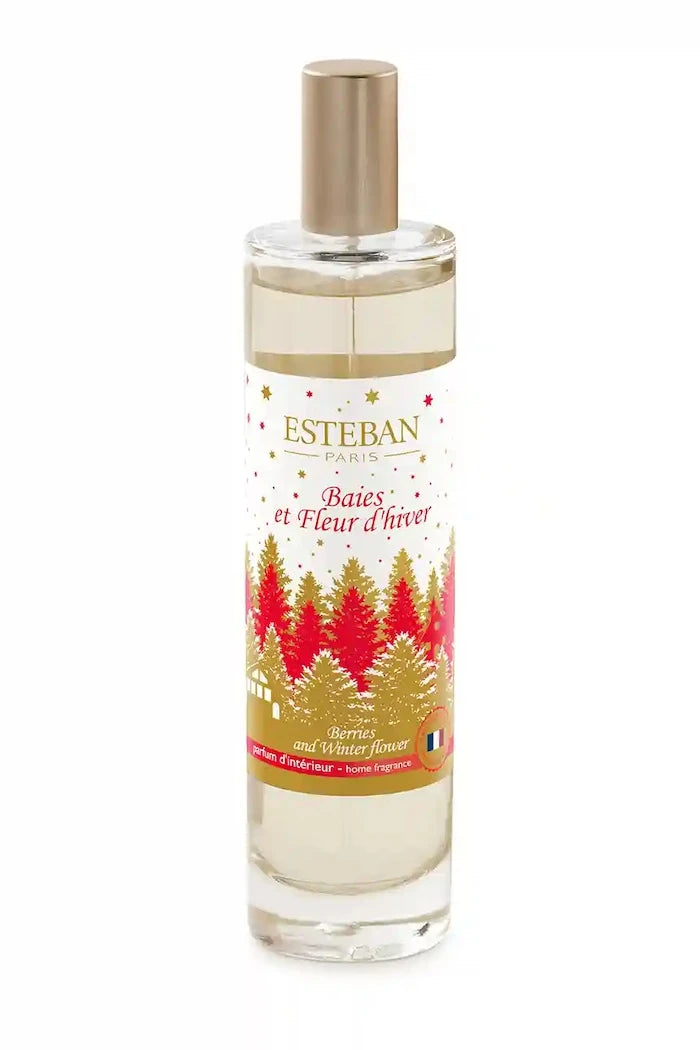 Esteban Berries And Winter Flower 75 ml Oda Kokusu