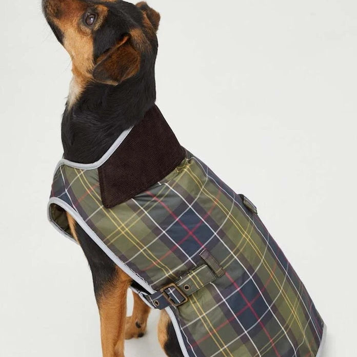 Яке за домашен любимец Barbour