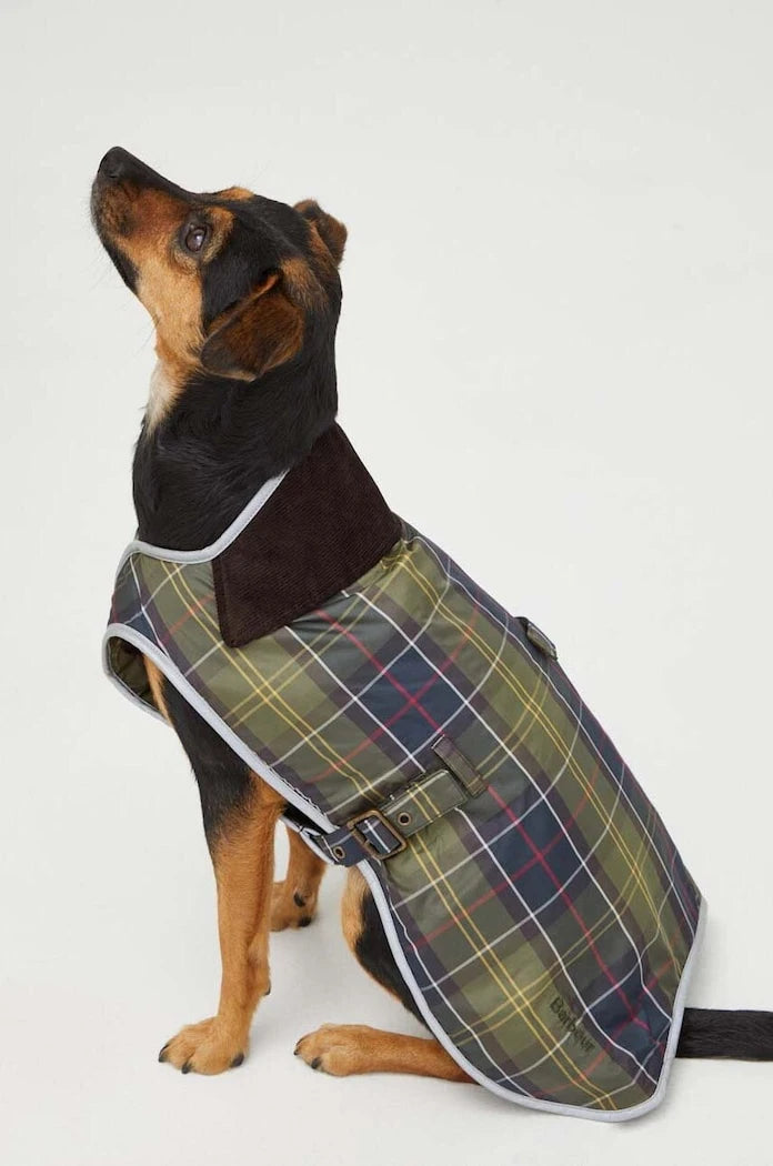 Яке за домашен любимец Barbour