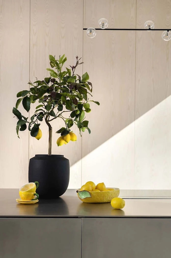 Чаша и чинийка Byon Lemon 250 ml