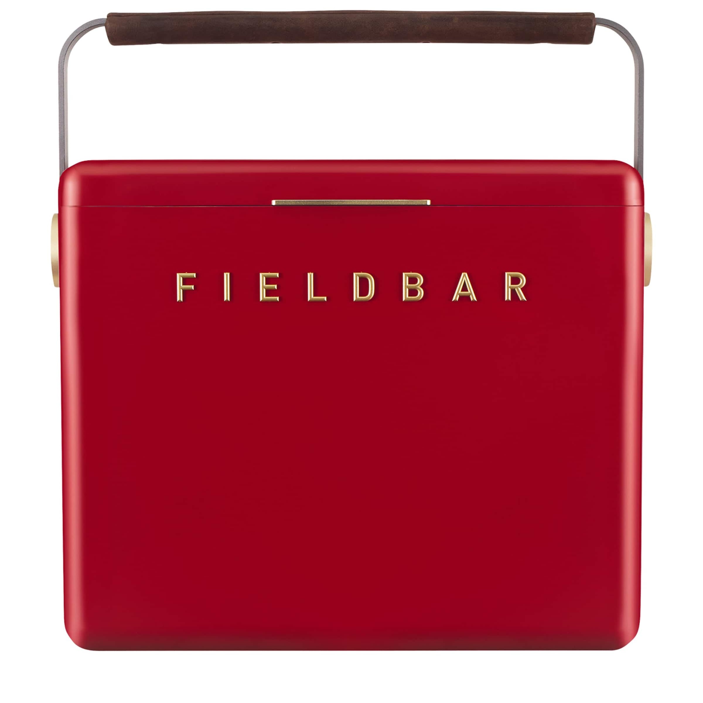 Fieldbar Gin Trunk Cooler Box (24L)