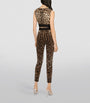 Dolce & Gabbana Multi Leopard Print Crop Top