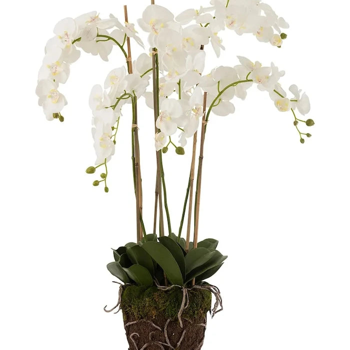 J-Line Yapay Bitki Dekoratif 60 x 53 x 104 cm