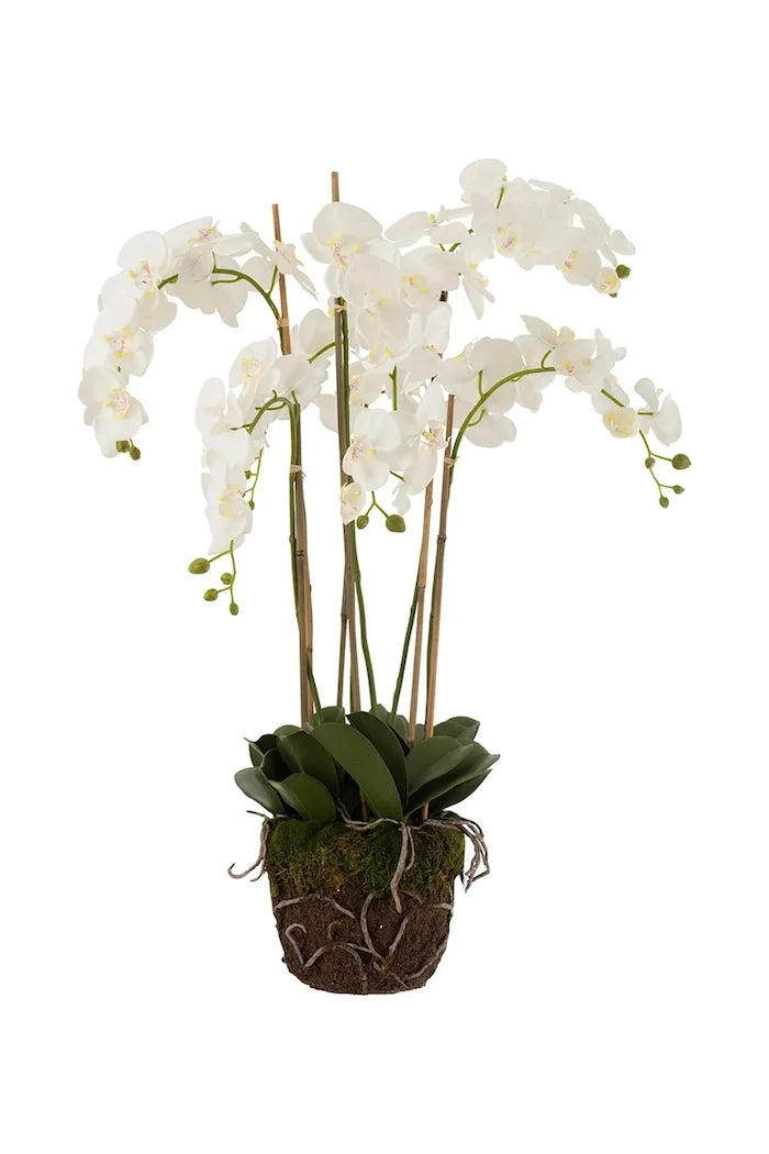 J-Line Yapay Bitki Dekoratif 60 x 53 x 104 cm