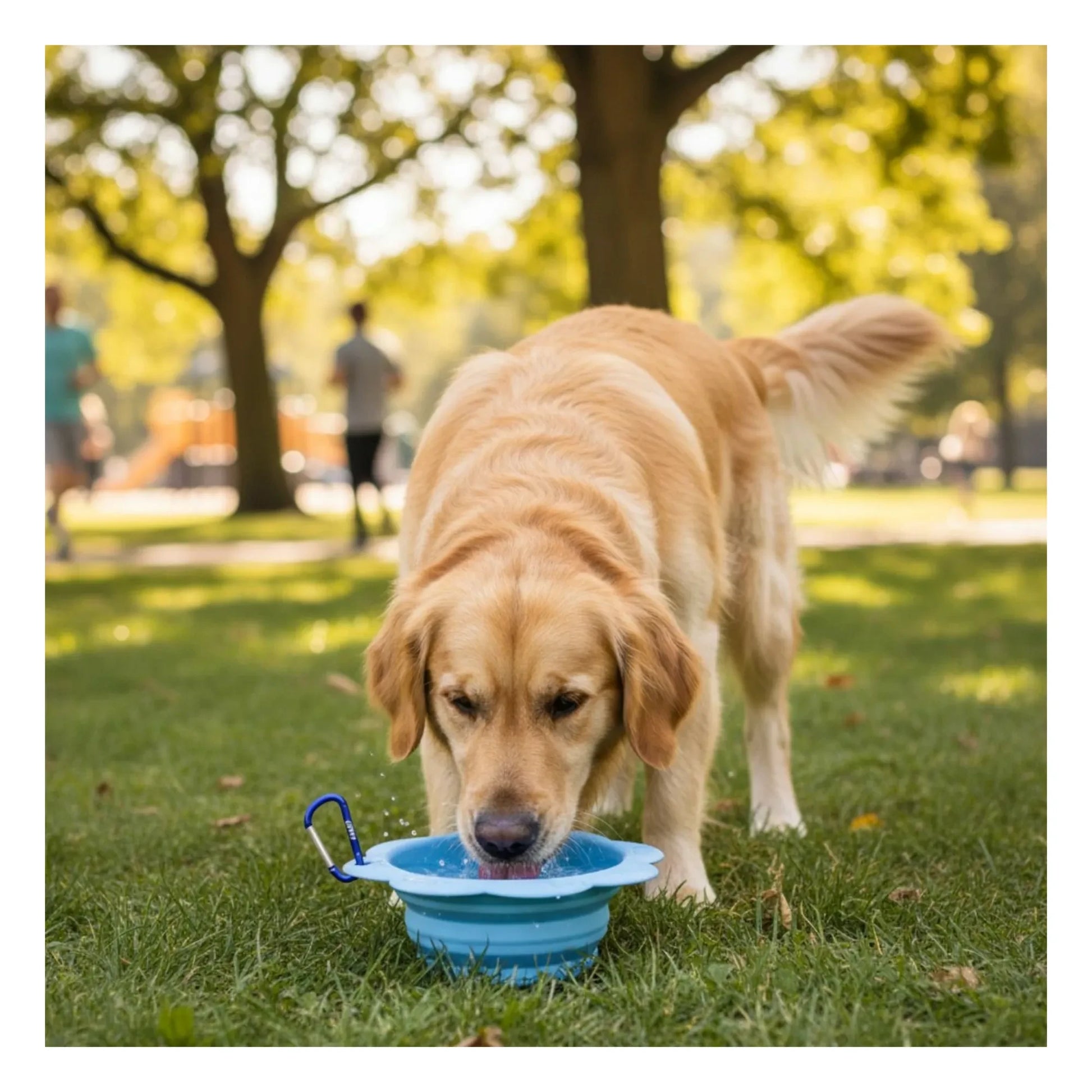 Jampy - Flower transport bowl | Light blue