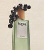 LOEWE Aire Sutileza Eau de Toilette (100ml)