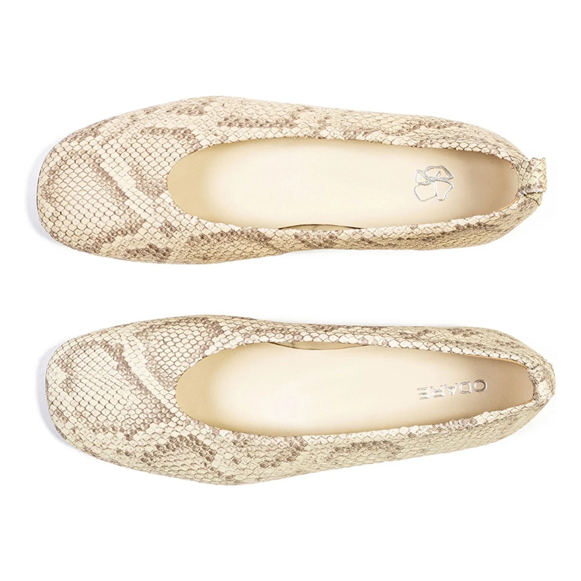 Odare - Bobette Python ballerinas | Grey