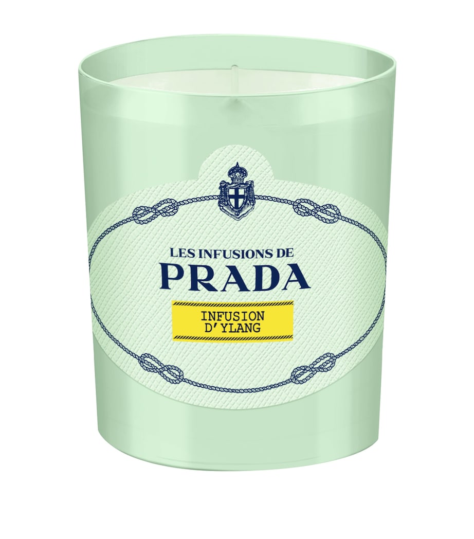 Infusion d’Ylang Candle (165g)