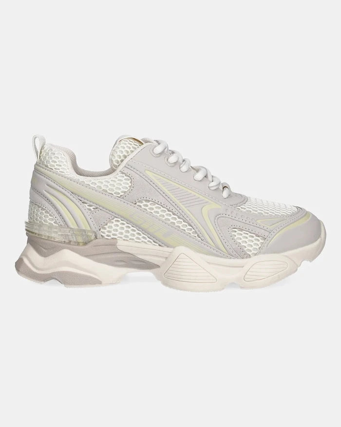 Steve Madden Speedster-E Spor Ayakkabı