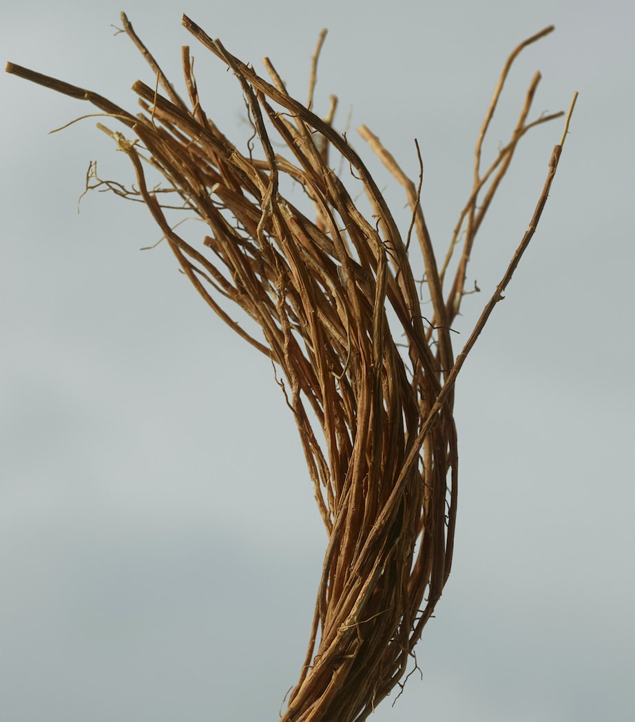 Golden Haze Eau de Parfum (100ml)