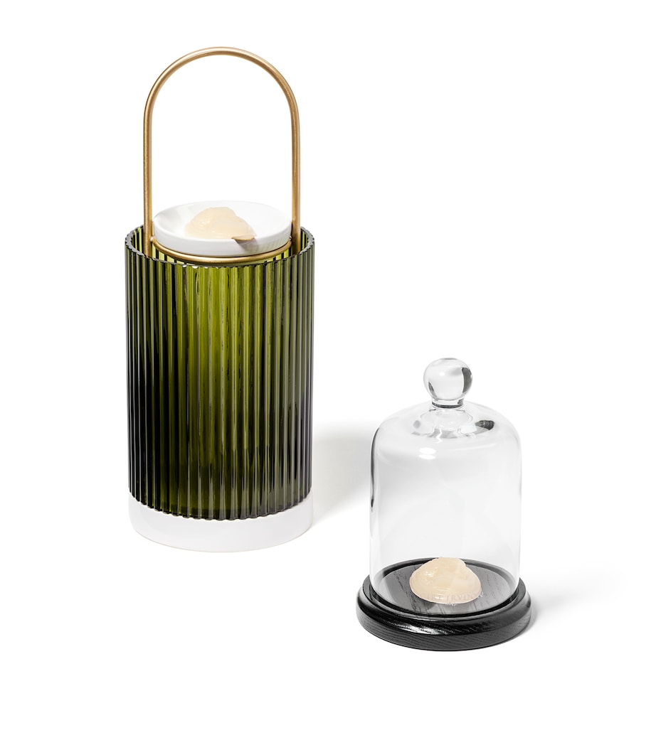 La Promenuse Ernesto Glass Diffuser