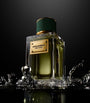 Dolce & Gabbana Velvet Vetiver Eau de Parfum (100ml)