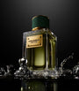 Dolce & Gabbana Velvet Vetiver Eau de Parfum (100ml)