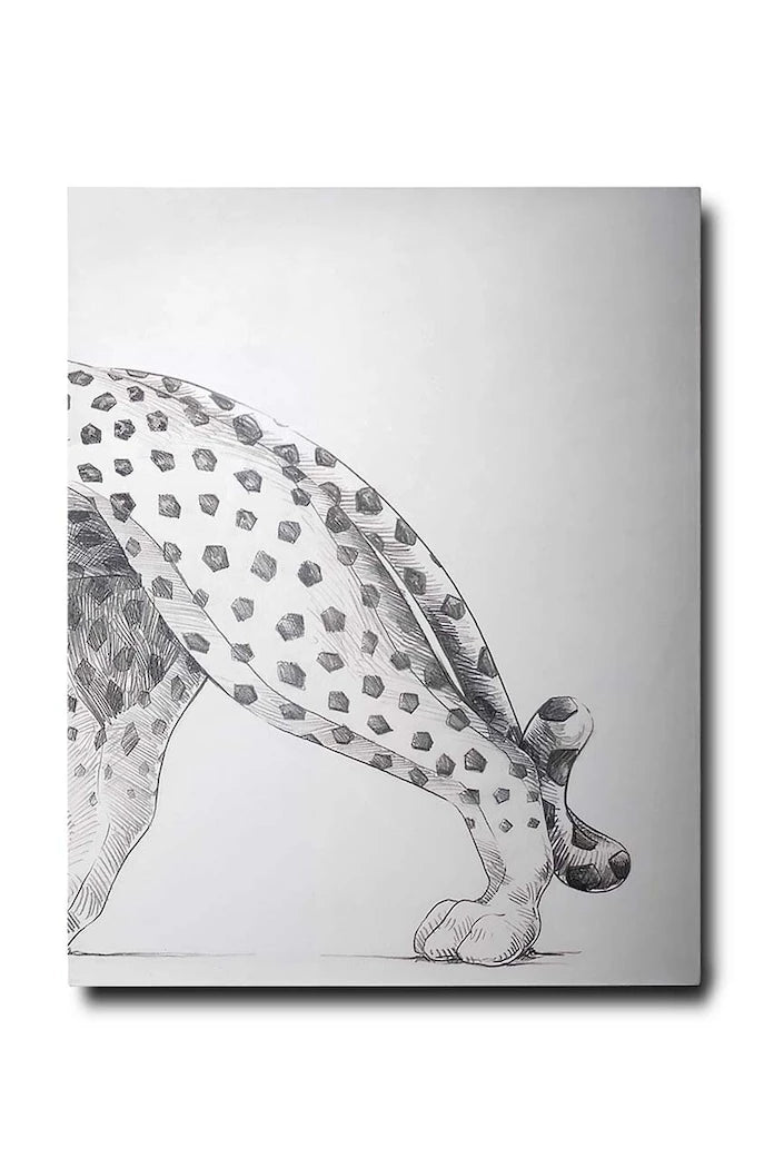 Assouline Cartier Panthere by Vivienne Becker, English