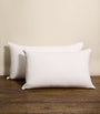 Belgravia Down-Filled Pillow (50cm x 75m)