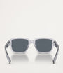 Prada Acetate PR 02ZS Sunglasses