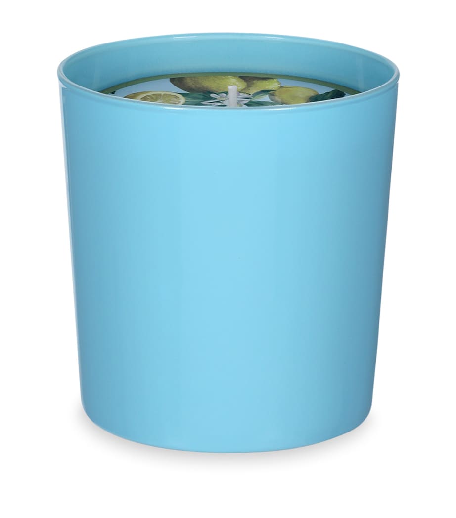 Dolce & Gabbana Casa Lemon Scented Candle (250g)