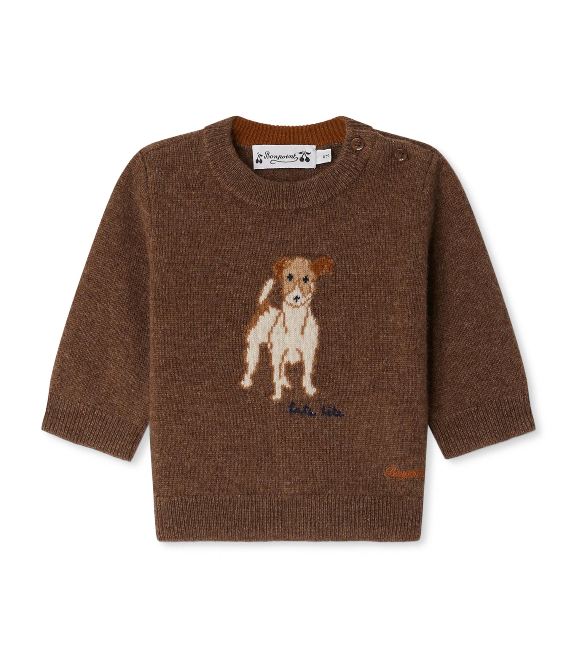 Cashmere Dog Sweater (6-18 Months)