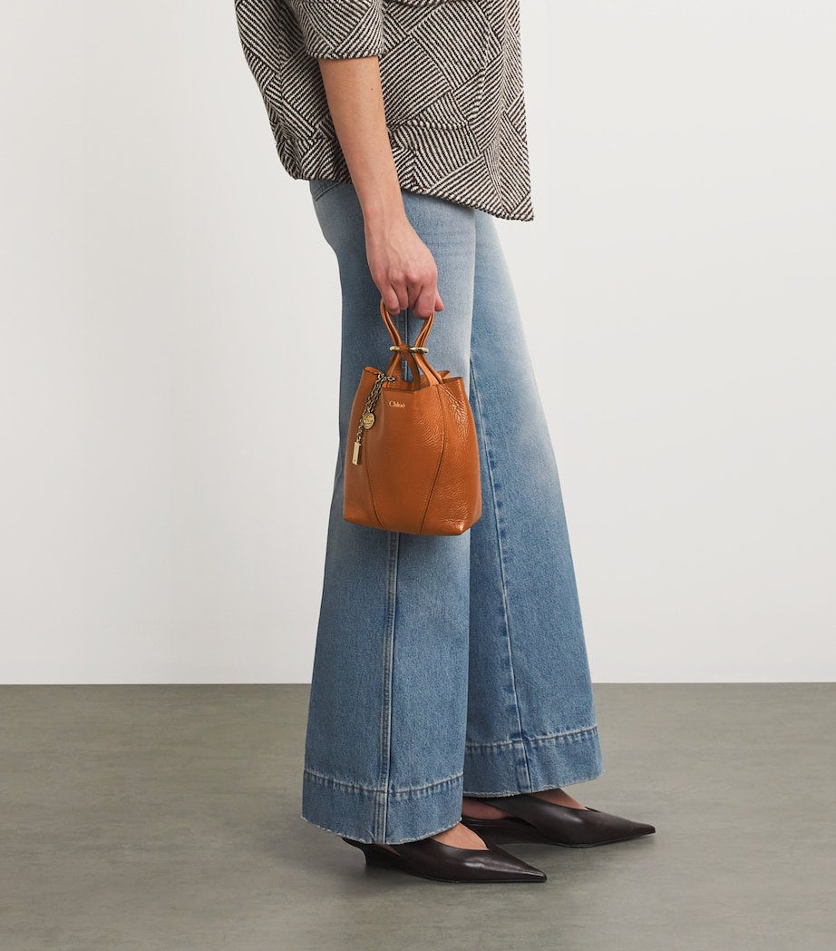 Chloé Brown Small Calfskin Spin Tote Bag