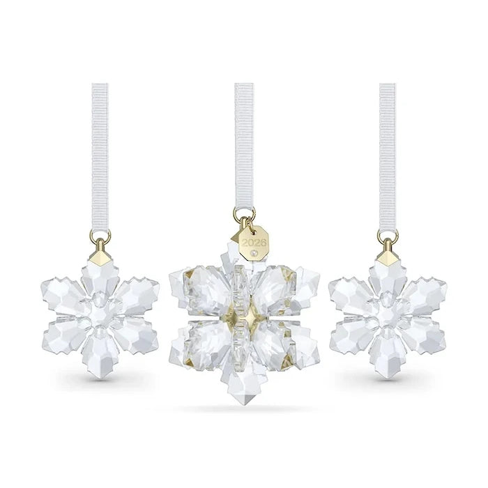 Swarovski Dekorasyon Seti ANNUAL