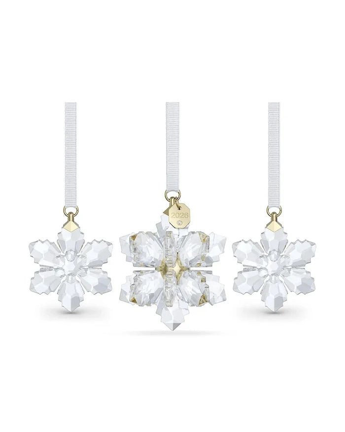 Swarovski Dekorasyon Seti ANNUAL