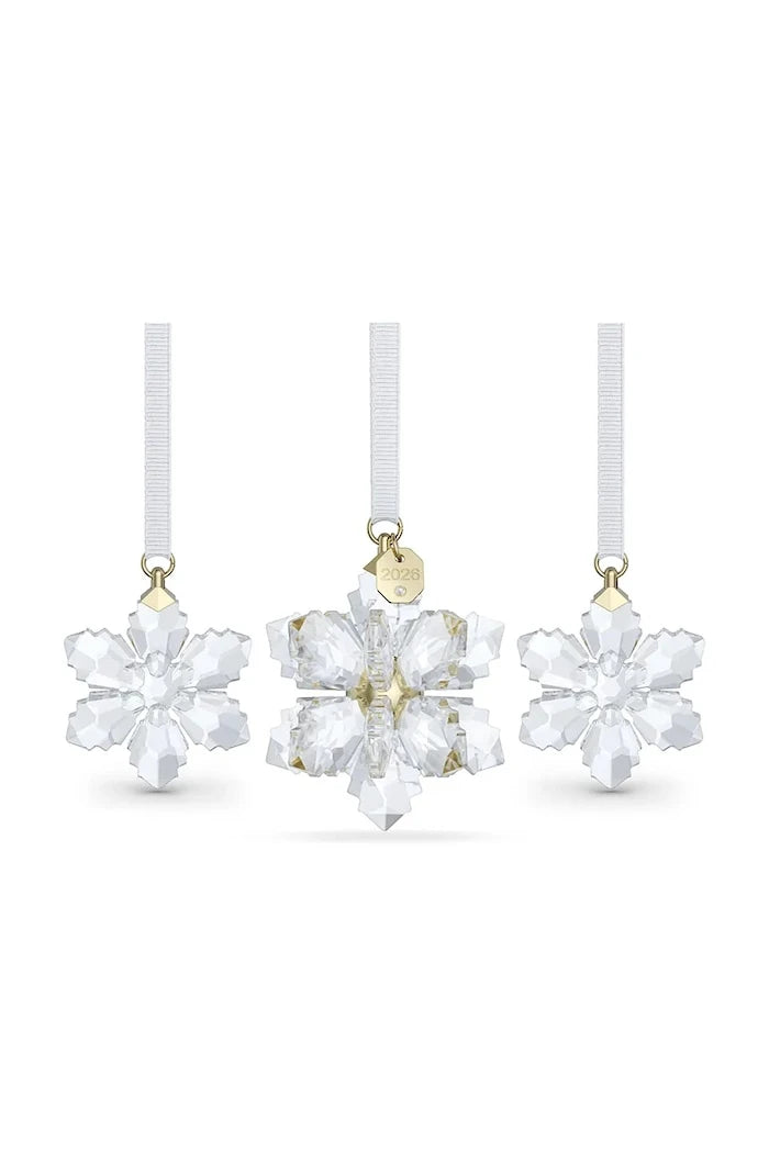 Swarovski Dekorasyon Seti ANNUAL