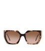 Brown Acetate PR 15WS Sunglasses