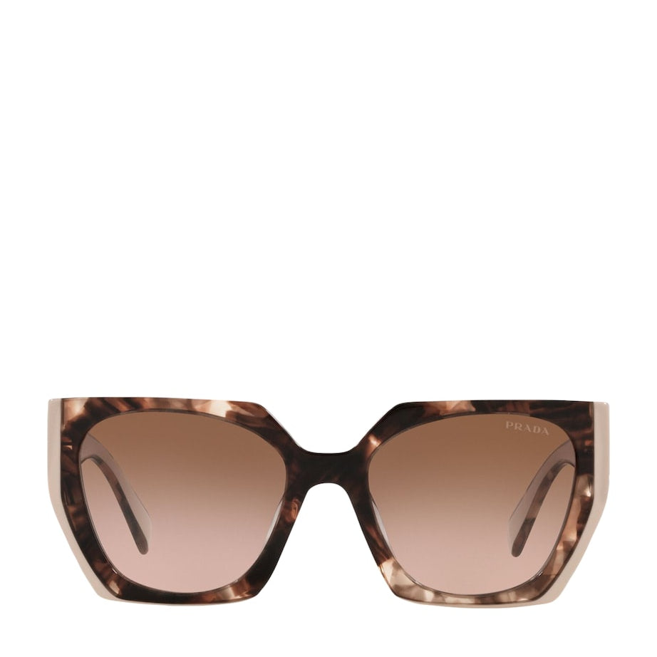 Brown Acetate PR 15WS Sunglasses