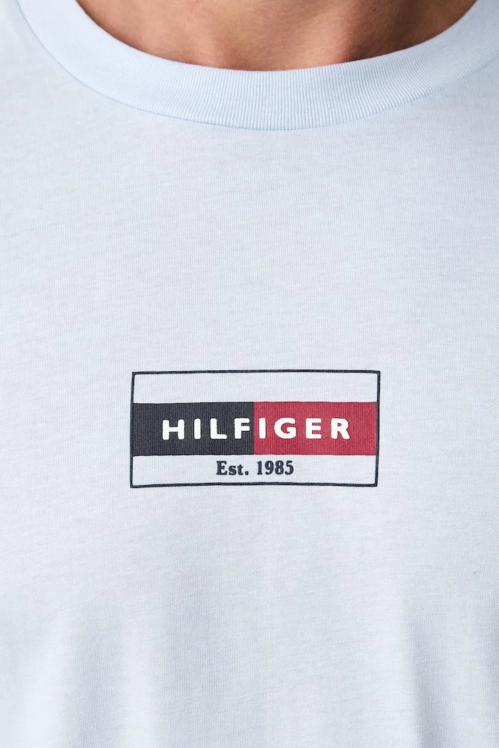 Tommy Hilfiger erkek pamuklu tişört