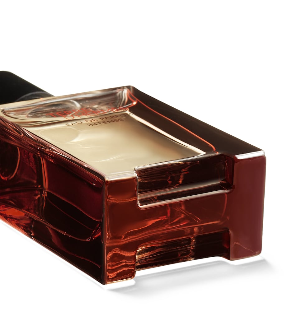 HERMÈS Terre d’Hermès Eau de Parfum Intense (50ml)