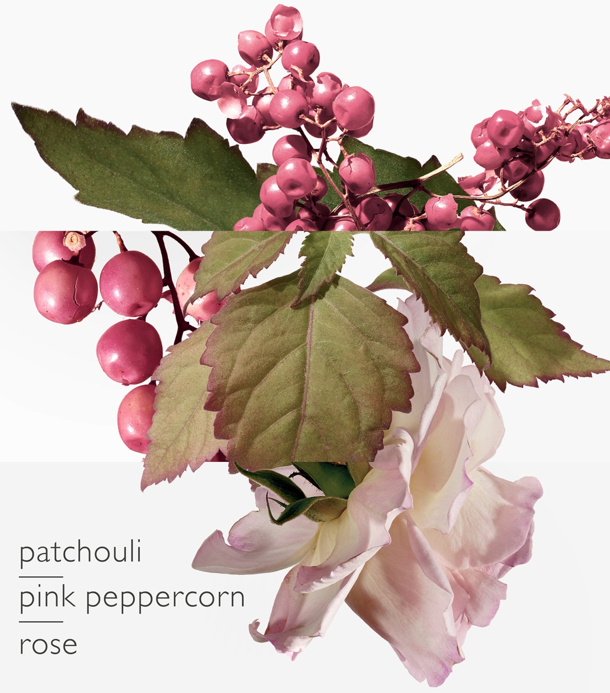 HERMÈS Twilly d'Hermès Eau Poivrée Eau de Parfum (85ml)