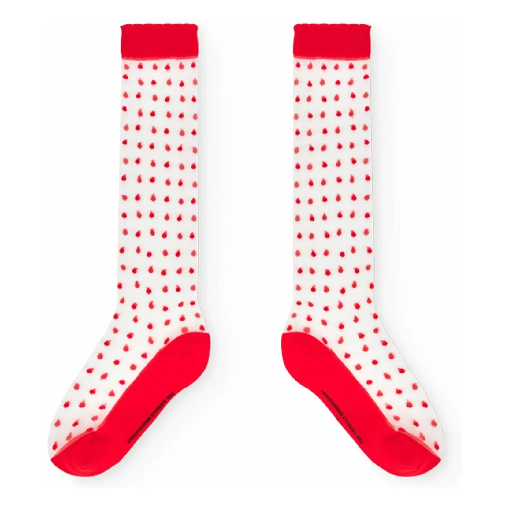 The Animals Observatory - Hen socks | Red