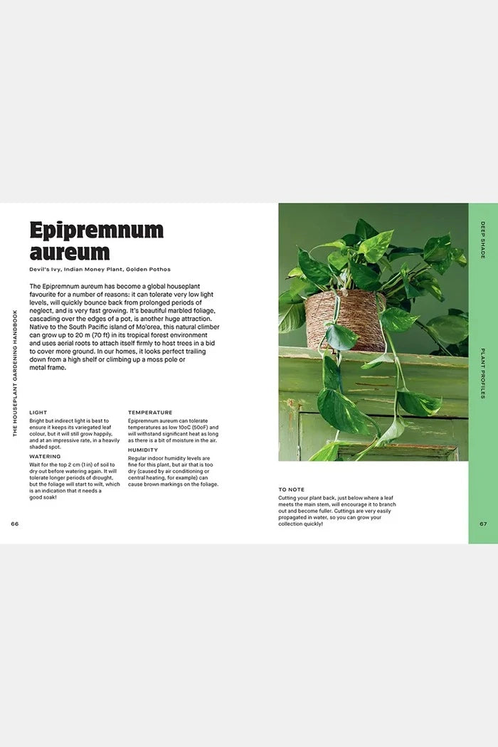 Houseplant Handbook by Maddie and Alice Bailey, English