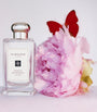 Peony & Blush Suede Cologne