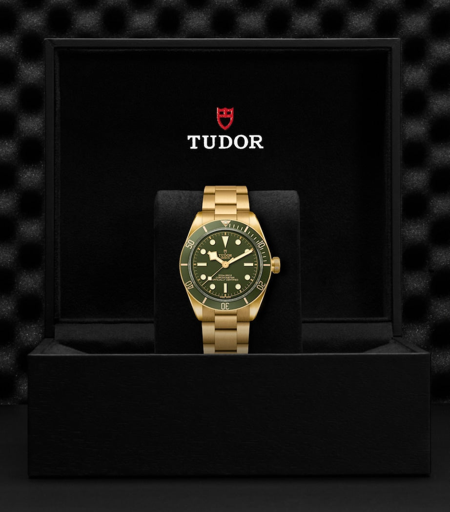 TUDOR Black Bay Yellow Gold Watch 39mm
