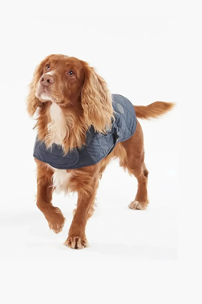 Кучешко палто Barbour