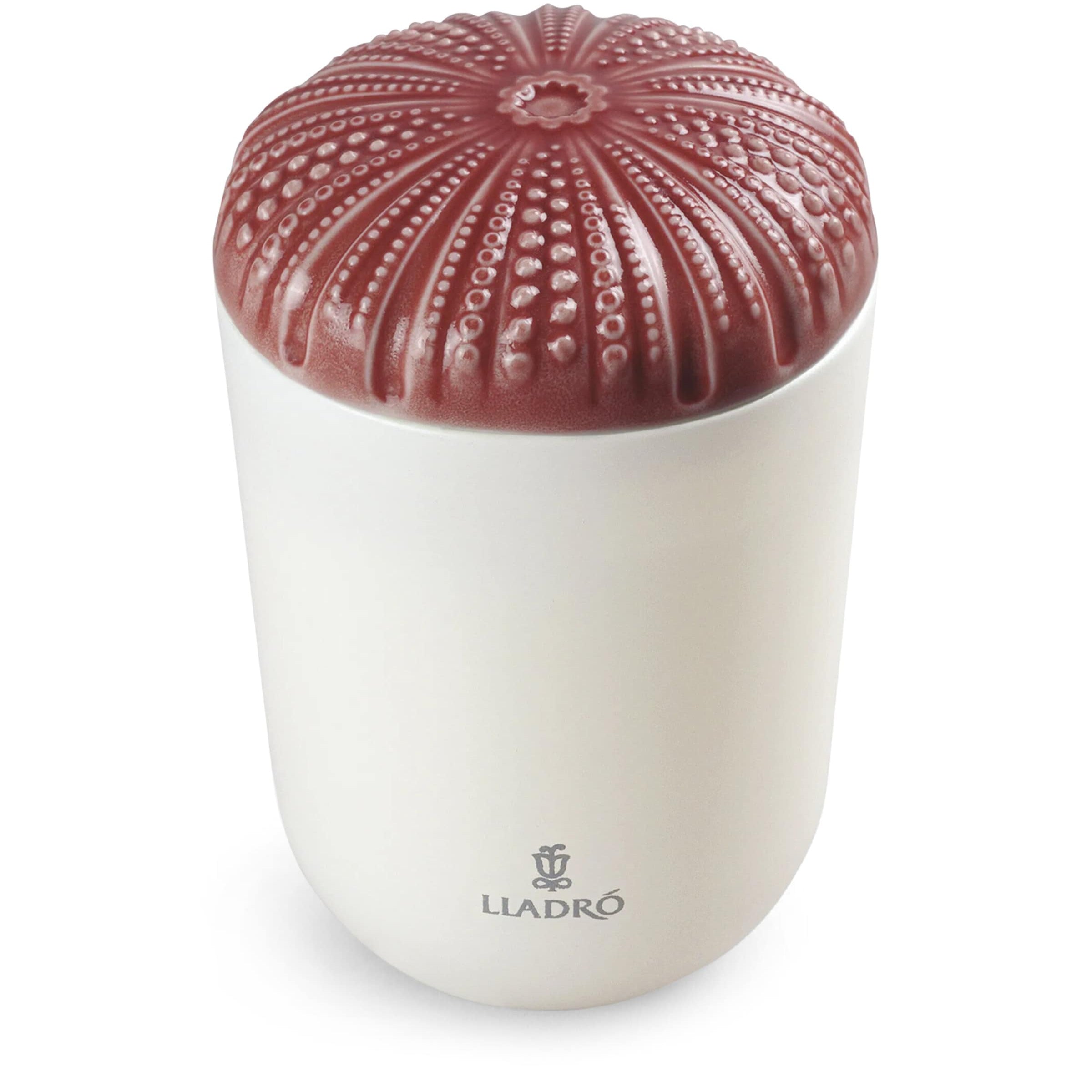 Lladró Mediterranean Beach Echoes of Nature Candle (200g)