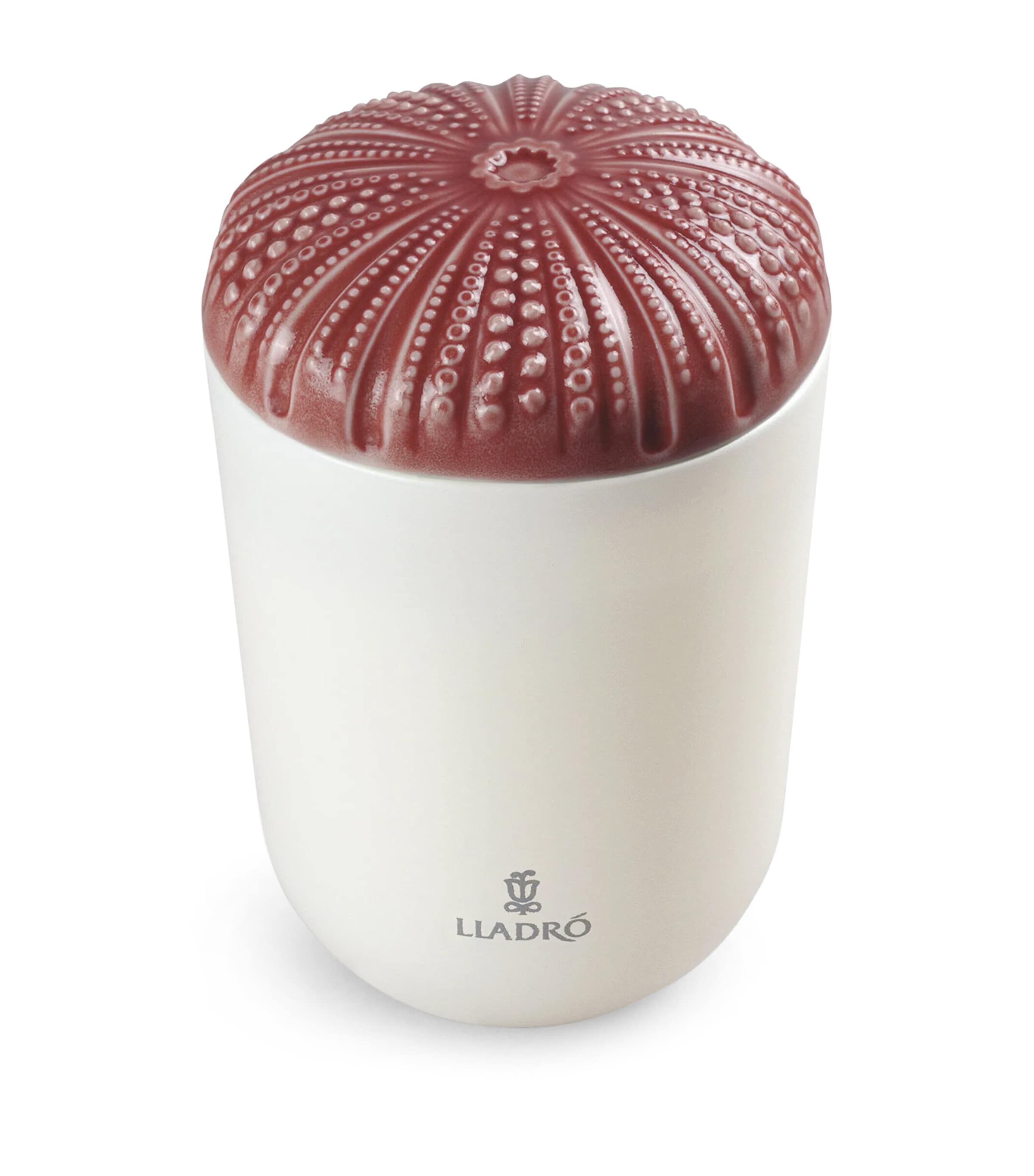 Lladró Mediterranean Beach Echoes of Nature Candle (200g)