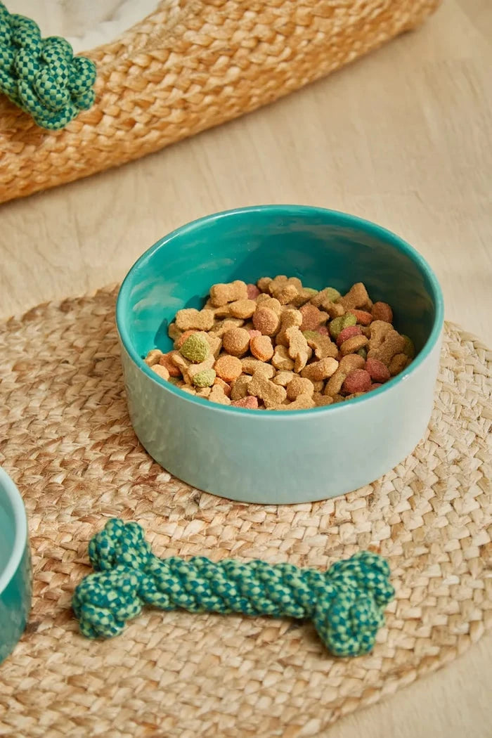 Calma House evcil hayvan kasesi 18 x 7 cm