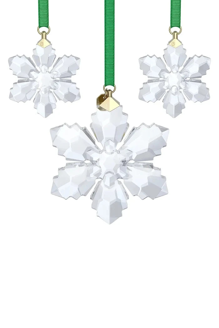 Swarovski ANNUAL Asılı Dekorasyon Seti