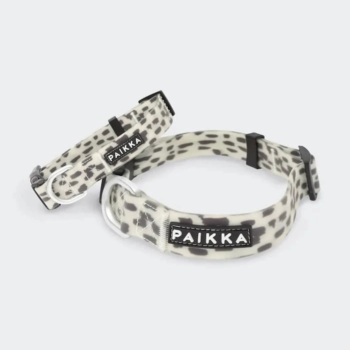 Köpek tasması 2,5 x 44-65 cm