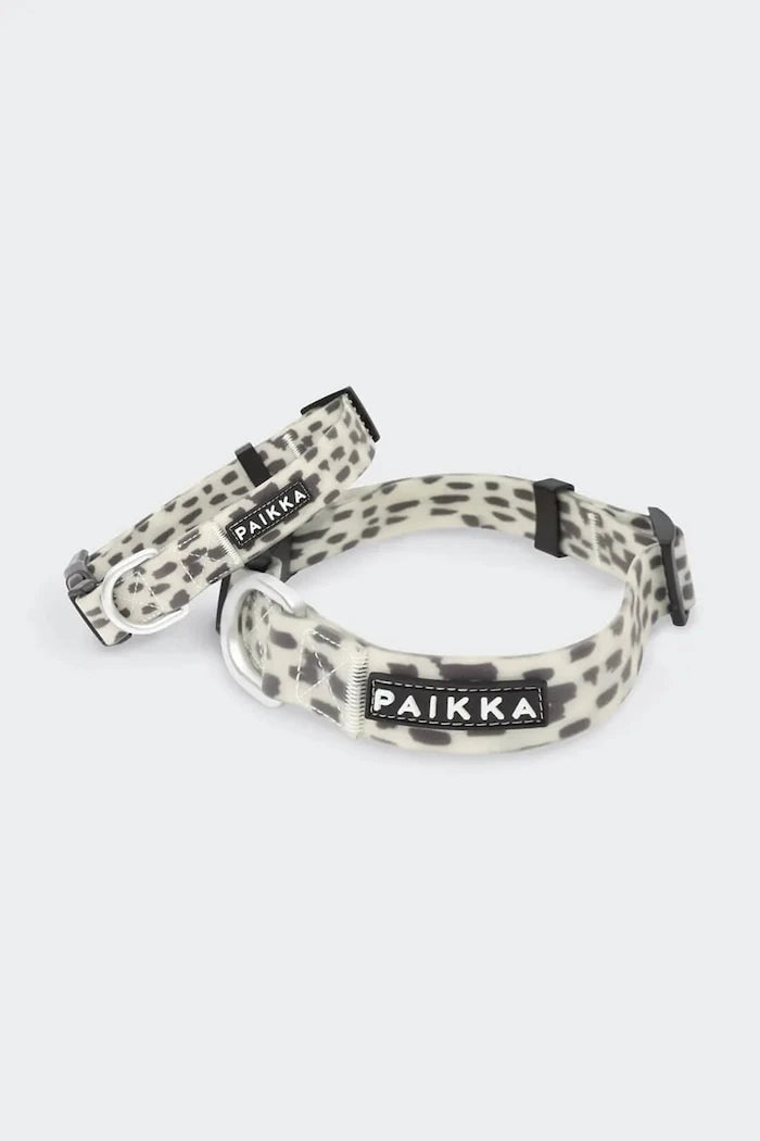 Köpek tasması 2,5 x 44-65 cm