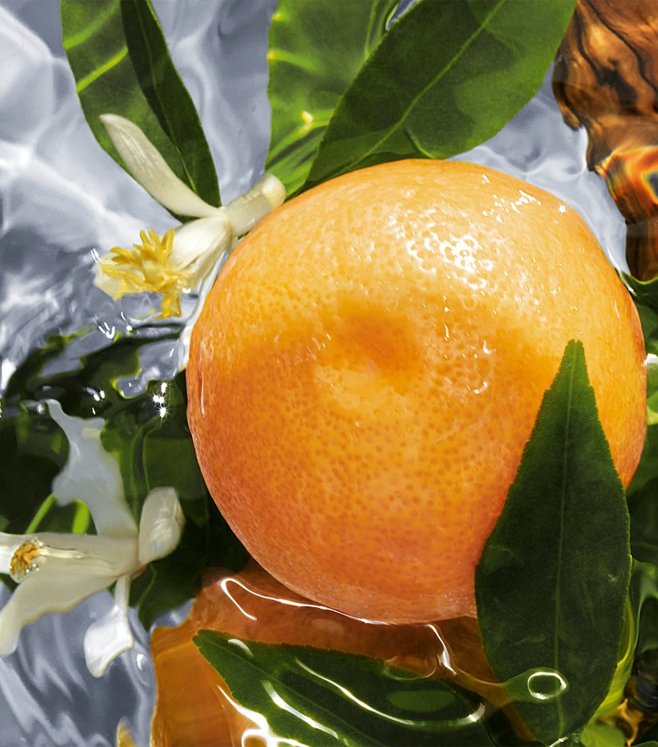 Aqua Allegoria Pamplelune Eau de Toilette (125ml)