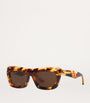Brown Acetate BV1283S Sunglasses