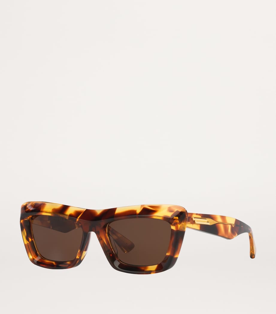 Brown Acetate BV1283S Sunglasses