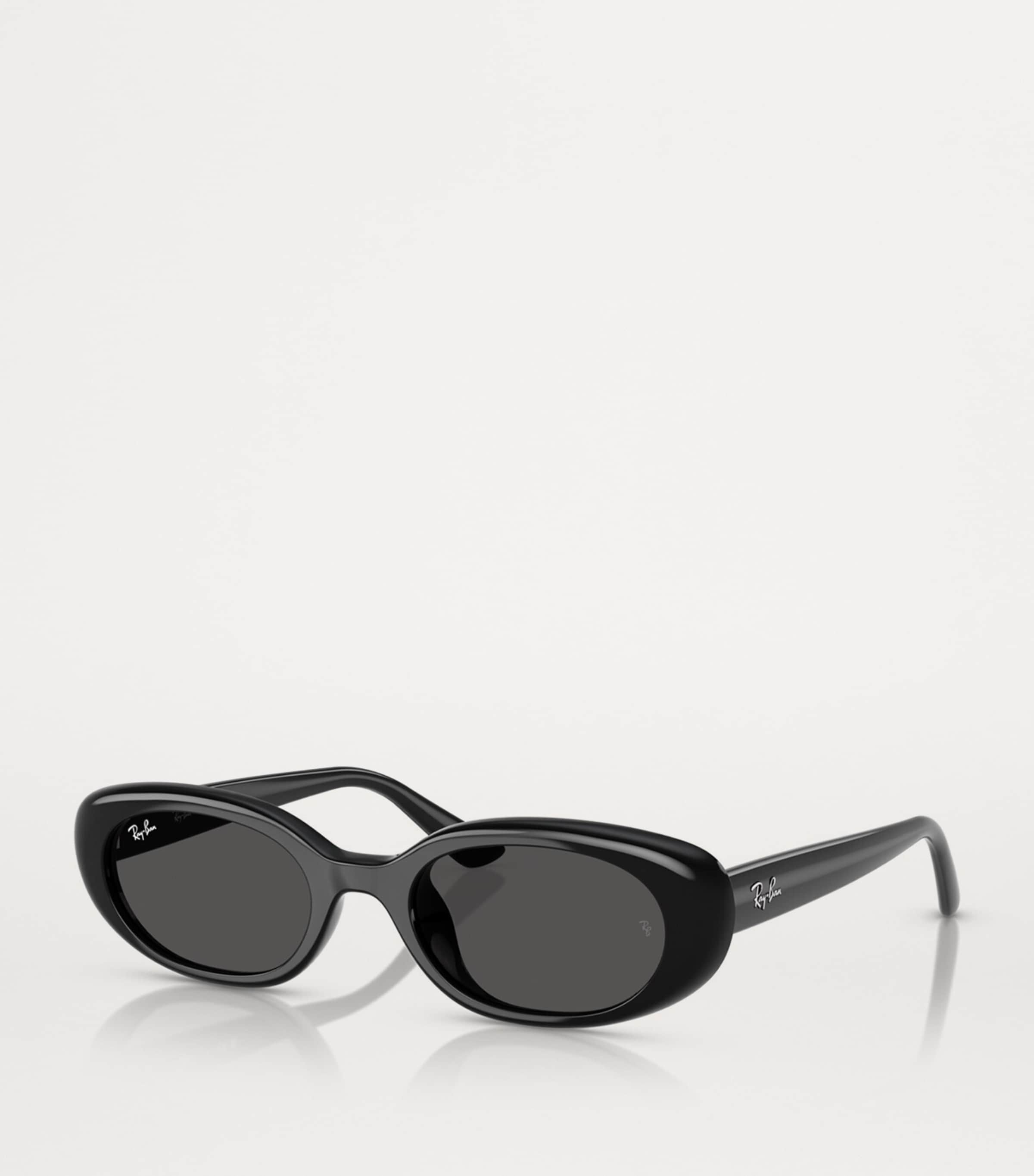 Ray-Ban Black RB4441D Sunglasses