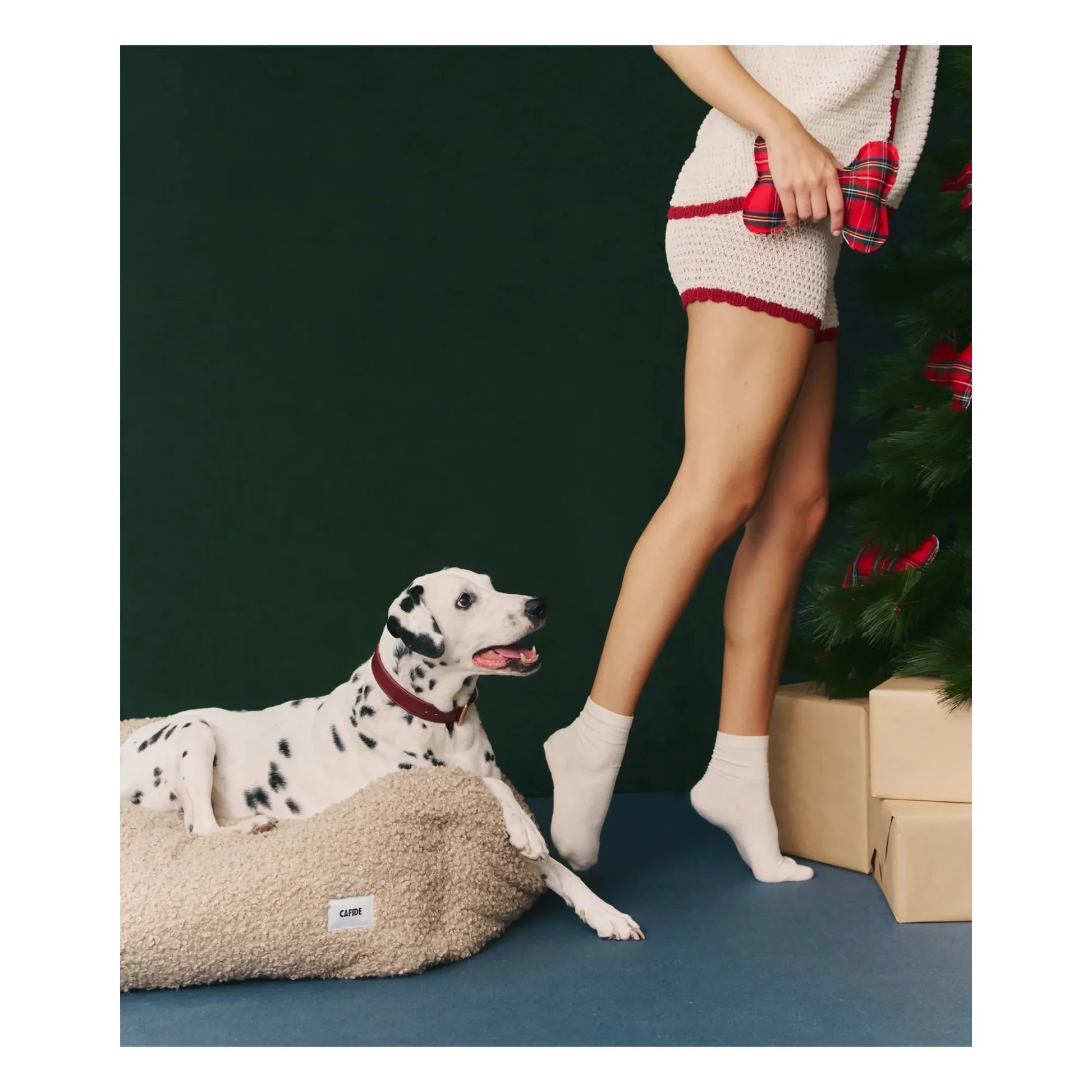 Cafide - Bone dog toy | Red