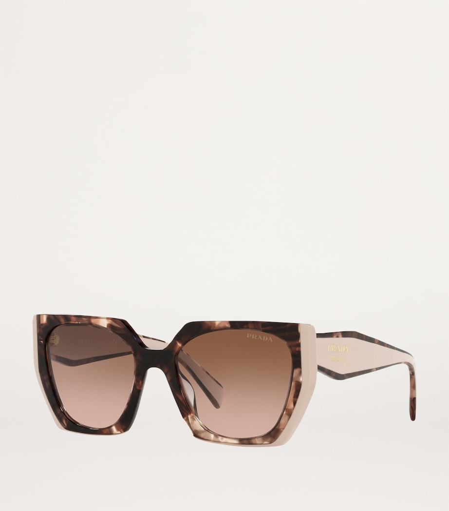 Brown Acetate PR 15WS Sunglasses