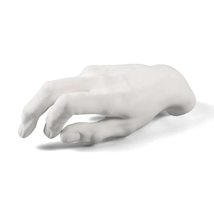Декорация Seletti Mvsevm Male Hand