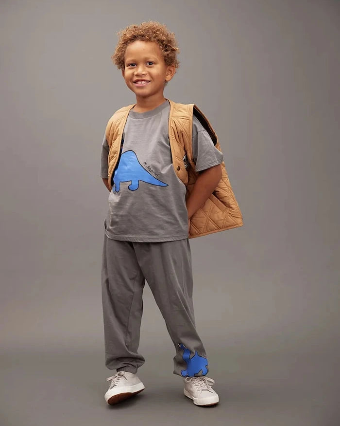 Детски памучен спортен панталон Mini Rodini Dino